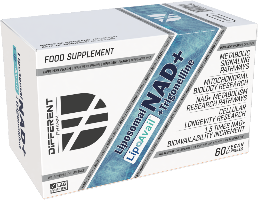 Liposomal NAD⁺ +Trigonelline