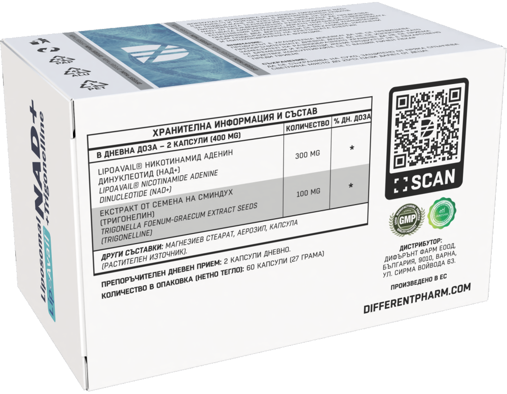 Liposomal NAD⁺ +Trigonelline